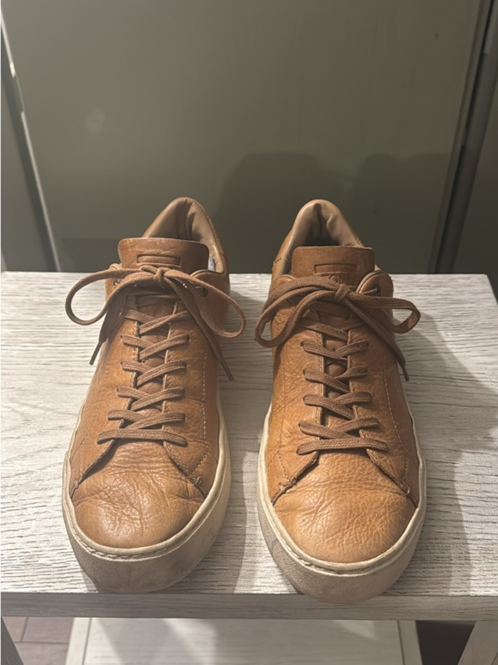 Toms Men's Leather Sneakers in Brown